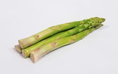 Asperge verte Espagne