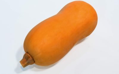 Courge butternut