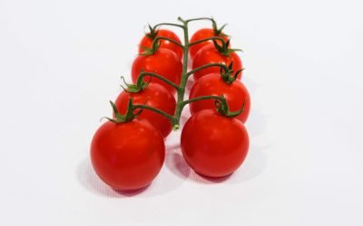 Tomate cerise grappe