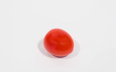 Tomate cerise ronde