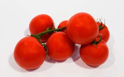 Tomate grappe